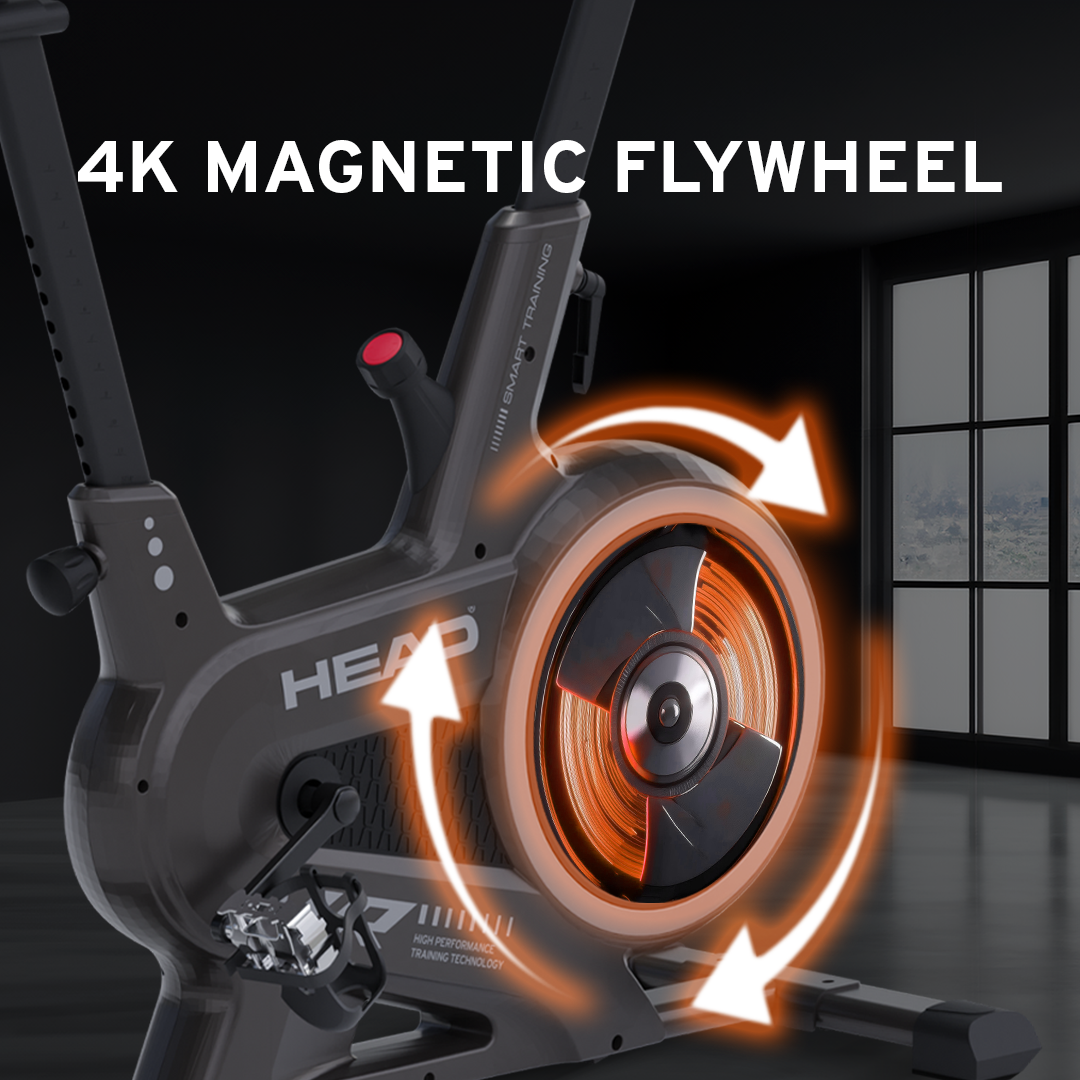 Bicicleta Head Spinner H9301P